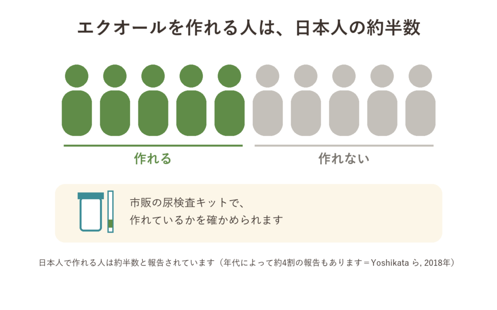 エクオールを作れる人は日本人の約半数。市販の尿検査キットで、作れているかを確かめられる